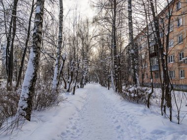 Pushkino, Rusya, 15 Ocak 2021. Kış şehri manzarası. Konut alanındaki manzara ağaçları