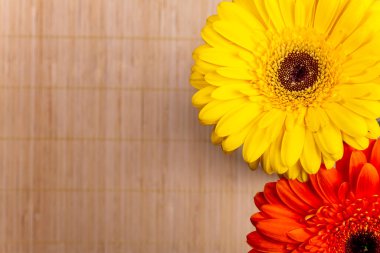 Çiçekçinin vitrininde farklı gerberalardan bir buket