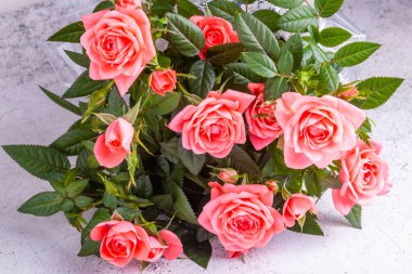 Pembe güllerin güzel çalısı