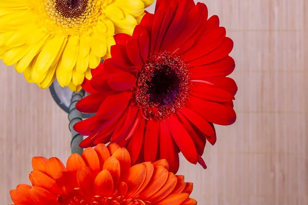 Strauß Verschiedener Gerbera Auf Einem Schaufenster Des Blumengeschäfts — Stockfoto