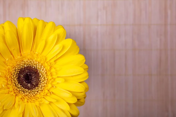 Ramo Diferentes Gerberas Escaparate Florería — Foto de Stock