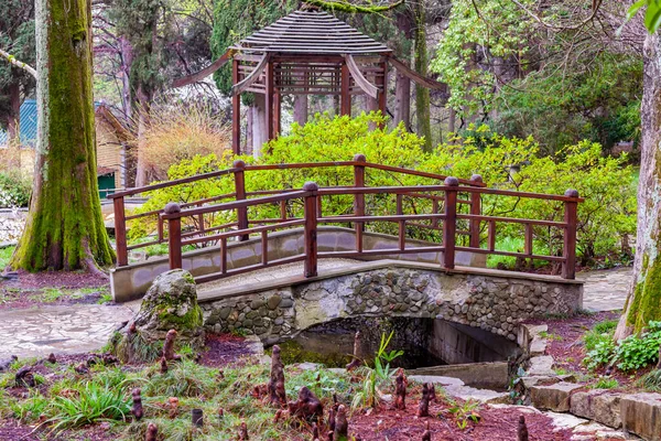 Soči Rusko Dubna2021 Malebný Dřevěný Most Přes Potok Soči Arboretum — Stock fotografie