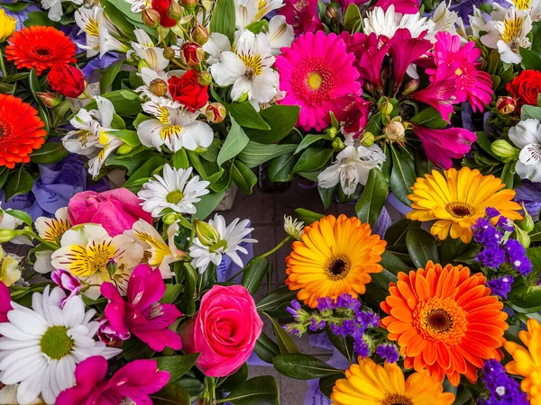Beau Bouquet Fleurs Diverses — Photo