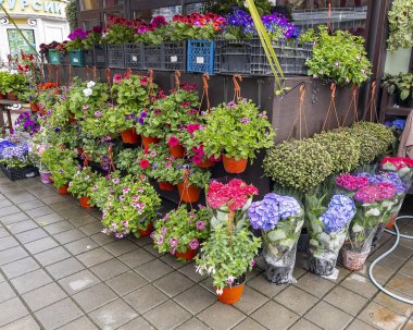 Sochi, Rusya, 14 Nisan 2021 Şehir merkezindeki sokak dükkanında çeşitli çiçeklerin satışı