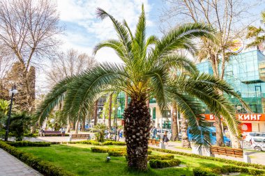 Sochi, Rusya, 12 Nisan 2021 Navaginskaya yaya yolu şehir merkezinde.