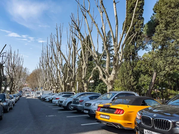 Sochi Russia April 2021 Typical Urban View Cloudy Spring Day — Stock Photo, Image