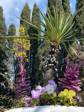 Deniz kıyısındaki resimli tropikal bitkiler