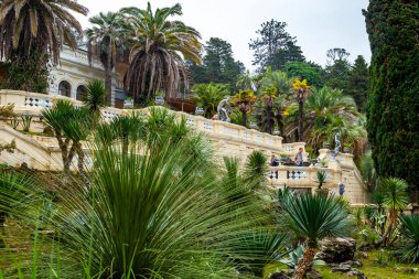 Sochi, Rusya, 12 Nisan 2021. Soçi botanik bahçesindeki eski taş merdivenler.