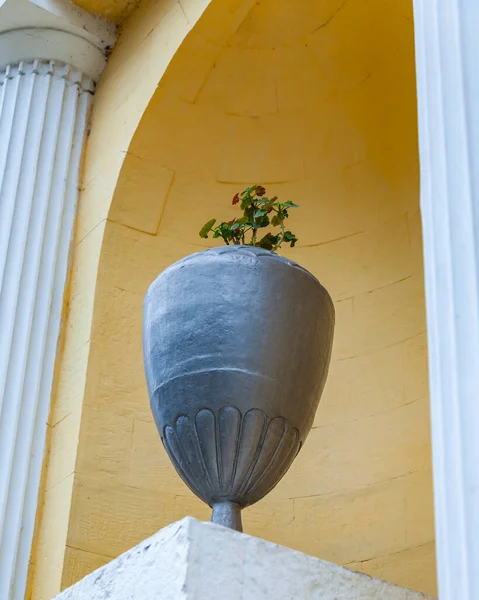 Sochi Rússia Abril 2021 Decoração Escultura Arboreto Sóchi — Fotografia de Stock