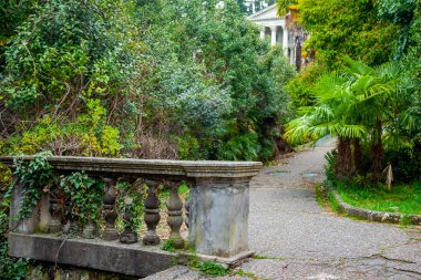 Sochi, Rusya, 13 Nisan 2021. Terk edilmiş Ordzhonikidze sanatoryumunun parkın pitoresk bir köşesi, tarihi ve kültürel bir eğlence merkezi.