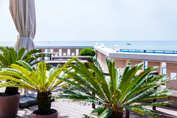 Sochi, Rusya, 13 Nisan 2021. Rıhtımdaki tropikal yarışlar