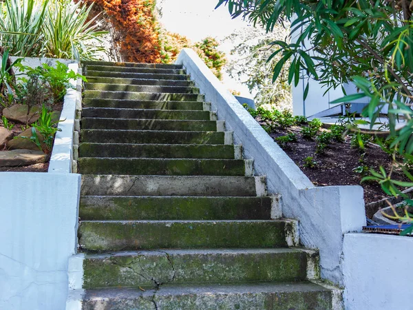 Sochi Russia April 2021 Old Stone Stairs Coastline — Stock Photo, Image