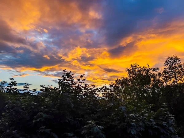Jasná Obloha Západu Slunce Stromy Temnotě — Stock fotografie