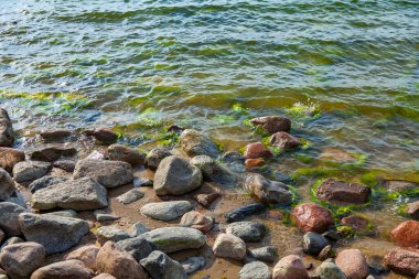 Deniz dalgası ve ıslak taşlar, arka plan