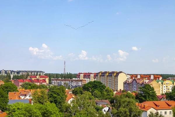 Zelenogradsk Russia Giugno 2021 Vista Sulla Città Dall Alto — Foto Stock