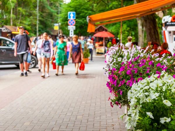 Svetlogorsk Rusya Haziran 2021 Tipik Şehir Mimari Topluluğu Sokakta Çiçekler — Stok fotoğraf