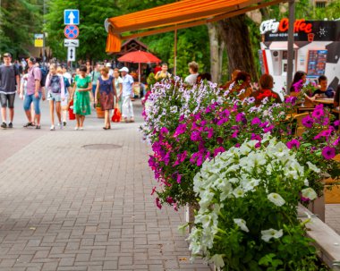 Svetlogorsk, Rusya, 24 Haziran 2021. Tipik şehir mimari topluluğu. Sokakta çiçekler.