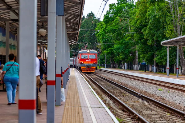 Szvetlogorsk Oroszország 2021 Június Regionális Vonat Pályaudvar Peronja Közelében — Stock Fotó