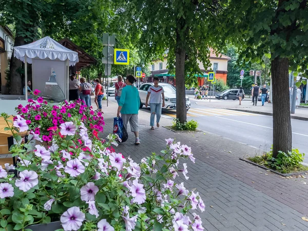 Swetlogorsk Russland Juni 2021 Typisches Urbanes Architektonisches Ensemble Blumen Auf — Stockfoto