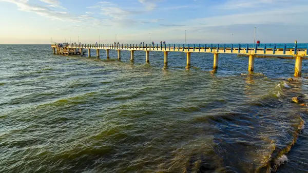 Paysage Marin Avec Ligne Horizon Arrière Groupe Nature — Photo