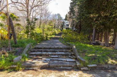 Sochi, Rusya, 14 Nisan 2021. Karadeniz kıyısında, tarihi ve kültürel bir dönüm noktası olan terk edilmiş eski bir kır evi (Albay Kvitko 'nun evi). Kulübenin etrafına park et.