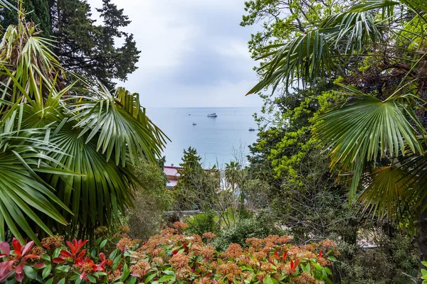 View of the sea distance, trees in the foreground