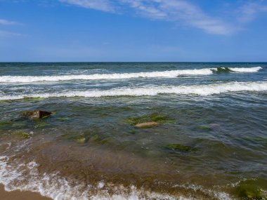 Ufuk çizgisi olan deniz manzarası. Doğa arkaplanı
