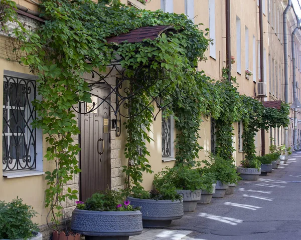 San Pietroburgo Russia Luglio 2021 Vista Della Strada Sull Isola — Foto Stock