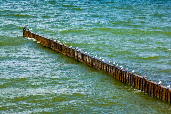 Paesaggio Marino Sfondo Della Natura — Foto Stock