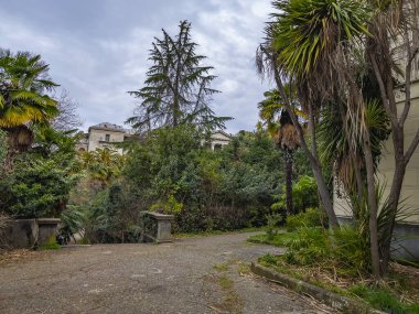 Sochi, Rusya, 13 Nisan 2021. Terk edilmiş Ordzhonikidze sanatoryumunun parkın pitoresk bir köşesi, tarihi ve kültürel bir eğlence merkezi.