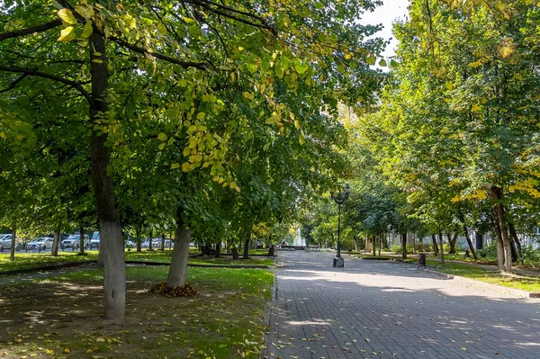 Sonbaharda Parkta Pitoresk Bir Sokak — Stok fotoğraf