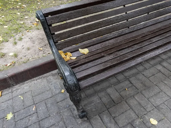 Bench Trees Boulevard Autumn — Stock Photo, Image