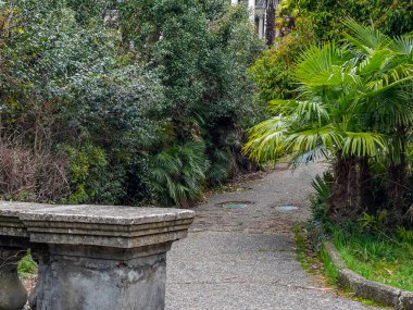 Yağmurdan sonra baharda parkta pitoresk bir ara sokak.