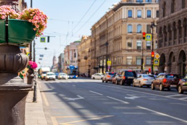 Saint Petersburg, Rusya, 27 Temmuz 2021. Nevsky, şehrin ana caddesidir. Çiçeklere odaklan.