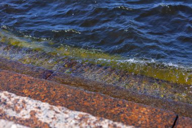 Petersburg. Neva Nehri 'nin yüksek suları. Doğal arkaplan