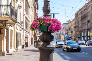 Saint Petersburg, Rusya, 27 Temmuz 2021. Nevsky, şehrin ana caddesi.