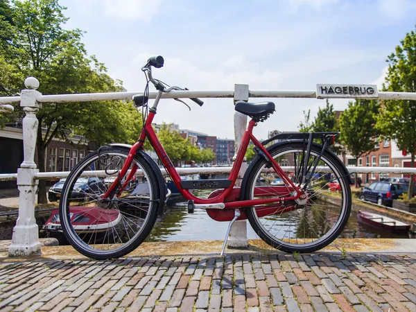 Haarlem, Nizozemsko, na 11 července 2014. jízdní kolo zaparkované na břehu kanálu — Stock fotografie