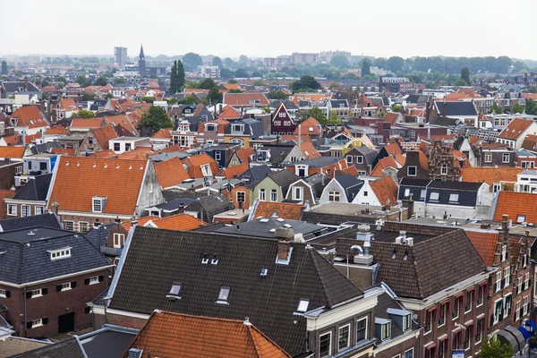 Haarlem, Holanda, em 11 de julho de 2014. Vista da cidade a partir de um terraço de pesquisa — Fotografia de Stock