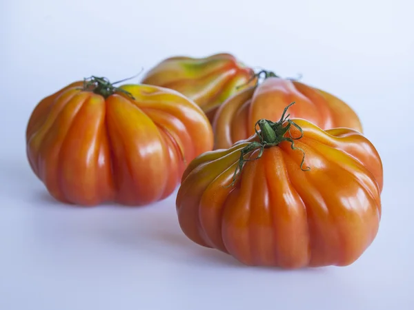Tomates grandes maduros — Foto de Stock