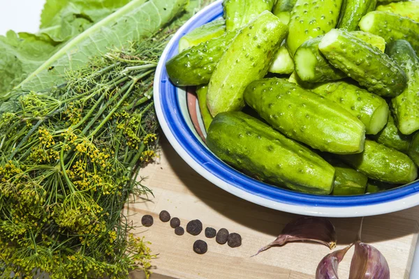 Préparation pour le salage des concombres — Photo