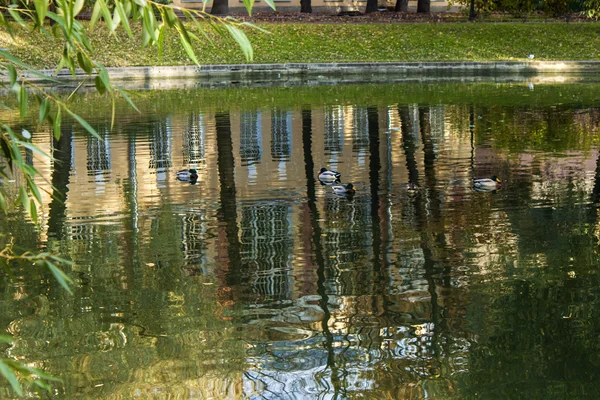 San Pietroburgo, Russia, il 15 ottobre 2011. Il giardino di Yusupov - una di cose notevoli di città. Look autunnale — Foto Stock