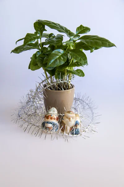 Joyería para un árbol de Año Nuevo y un árbol de café —  Fotos de Stock