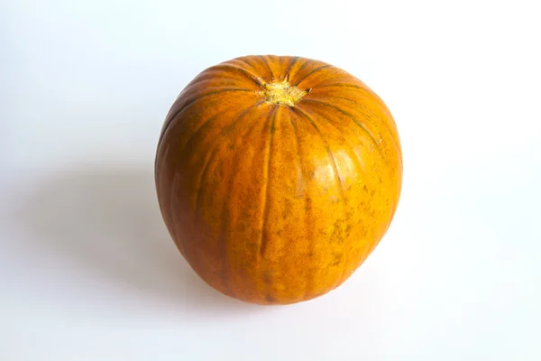 Calabaza naranja — Foto de Stock