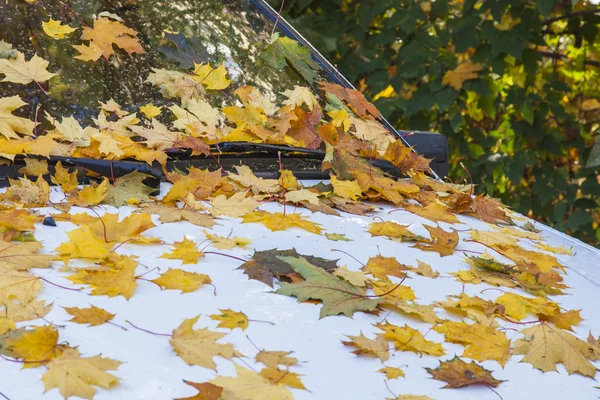 Pushkino, Federacja Rosyjska, 30 września 2014 roku. Jesienny dzień. Samochód, który jest pełen żółtych liści, które leciały z drzew — Zdjęcie stockowe