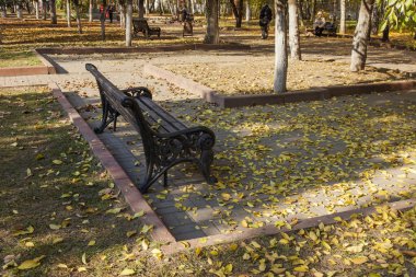 Sonbahar Park düşen yapraklar ile tezgah