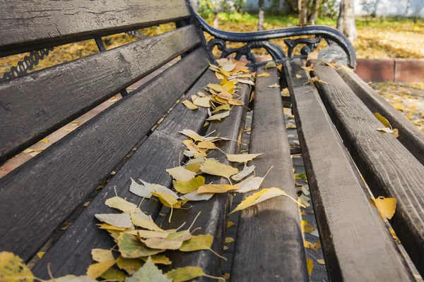 Bench with fallen leaves in autumn park — Stock Photo, Image