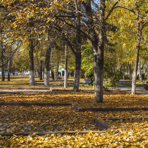 Pushkino, Russia, l '8 ottobre 2014. Look autunnale . — Foto Stock