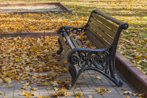 Banco con hojas caídas en el parque de otoño —  Fotos de Stock