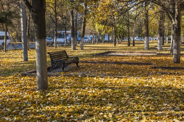 Pushkino, Rusia, el 8 de octubre de 2014. Mirada de otoño . — Foto de Stock