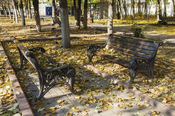 Banco con hojas caídas en el parque de otoño — Foto de Stock